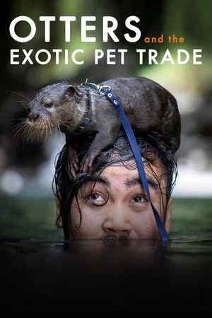 Постер: Otters and the Exotic Pet Trade