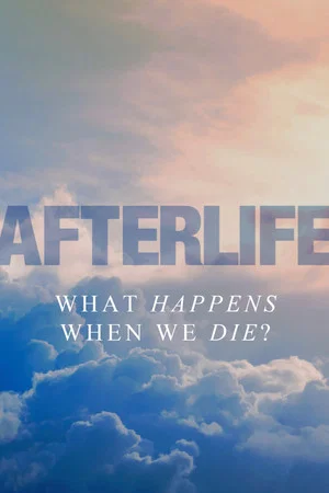 Постер: Afterlife