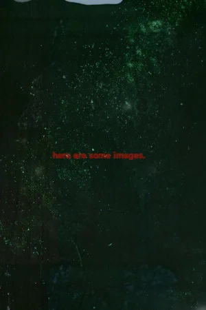 Постер: Here are some Images