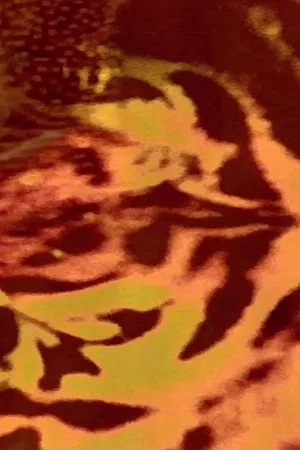 Постер: Animal macula