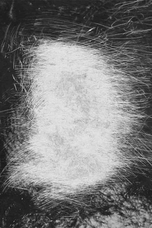 Постер: Rosebud