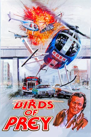 Постер: Birds of Prey