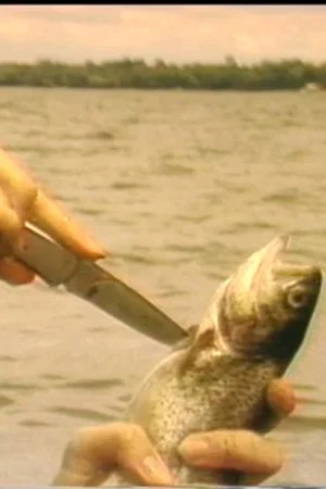 Постер: The Myth of the Fishes