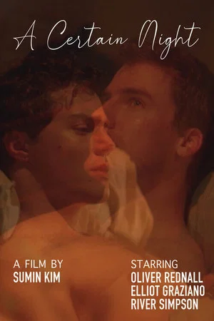 Постер: A Certain Night