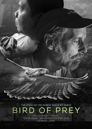 Постер: Bird of Prey