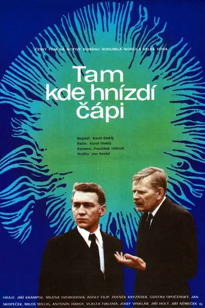 Постер: Tam kde hnízdí čápi