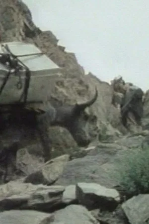 Постер: The Kirghiz of Afghanistan
