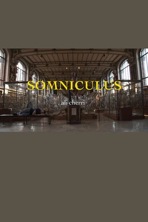 Постер: Somniculus