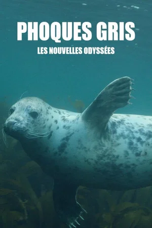 Постер: Grey Seals: A Journey of Survival