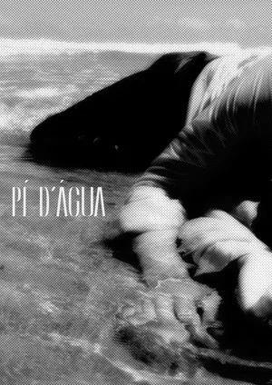 Постер: Pé d'Água