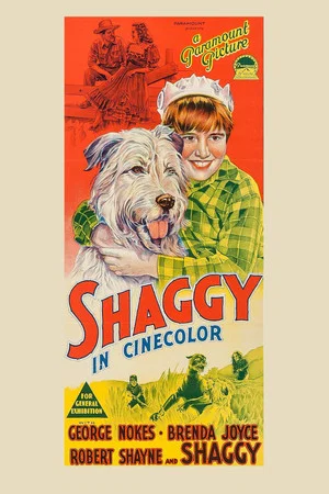 Постер: Shaggy
