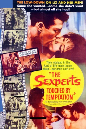 Постер: The Sexperts: Touched by Temptation