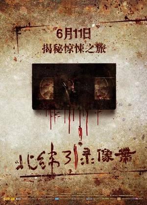 Постер: Video Cassette of 31 Degrees North Latitude