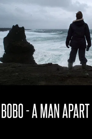 Постер: Bobo - A Man Apart