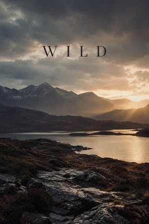 Постер: Wild