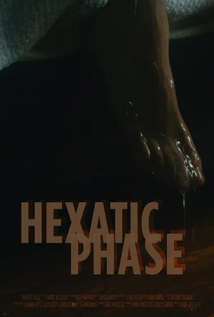 Постер: Hexatic Phase