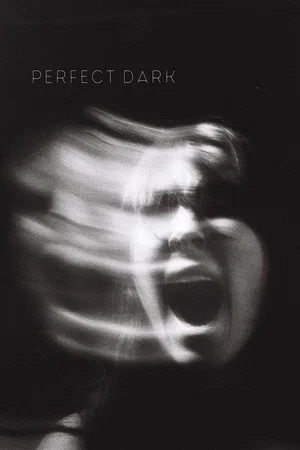Постер: Perfect Dark