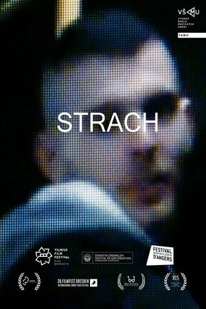 Постер: Fear
