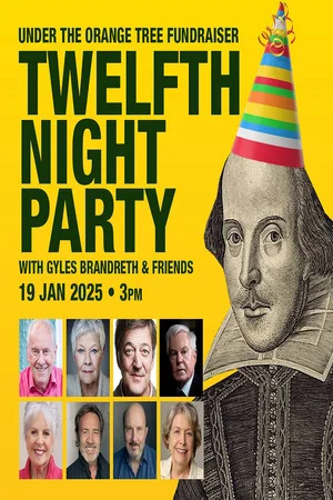 Постер: The Twelfth Night Reunion