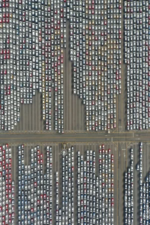 Постер: Great Bug