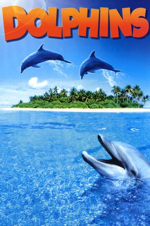 Постер: Dolphins