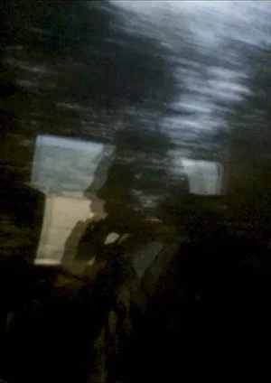 Постер: My Echo, My Shadow and Me
