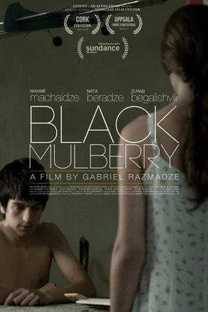 Постер: Black Mulberry