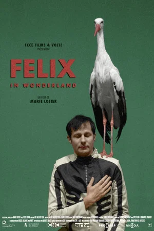 Постер: Felix in Wonderland