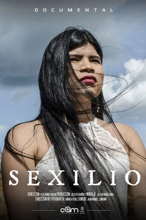 Постер: Sexilio