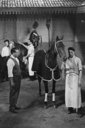 Постер: La mujer y el jockey (Hipódromo)