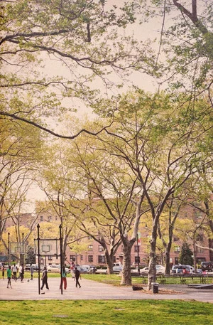 Постер: The Park