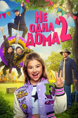 Постер: Не одна дома 2