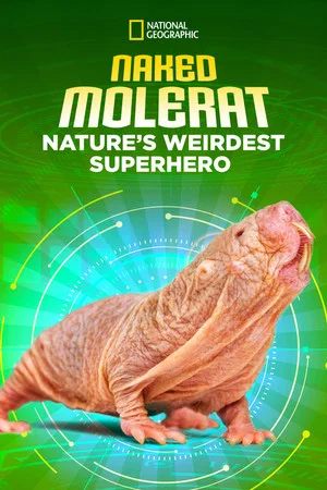 Постер: Naked Molerat: Nature’s Weirdest Superhero