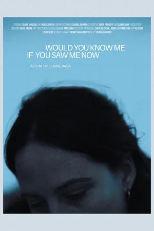 Постер: Would You Know Me If You Saw Me Now