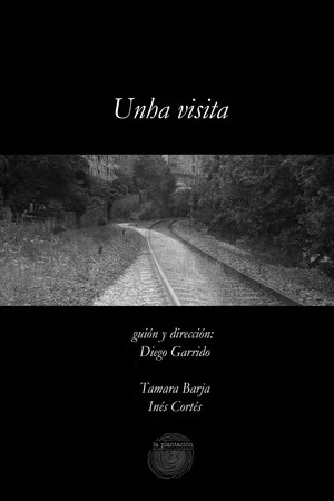 Постер: Unha visita
