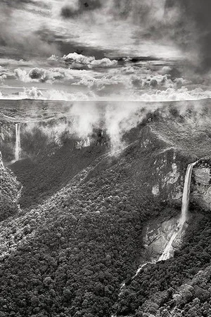 Постер: Planeta Amazônia