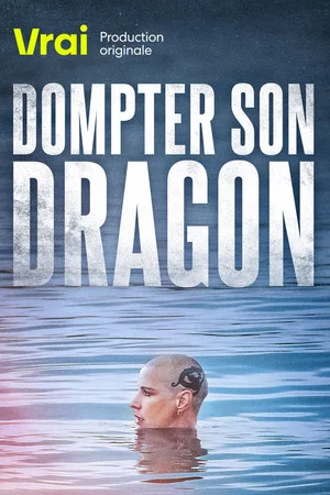 Постер: Dompter son dragon