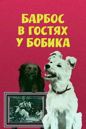 Постер: Барбос в гостях у Бобика