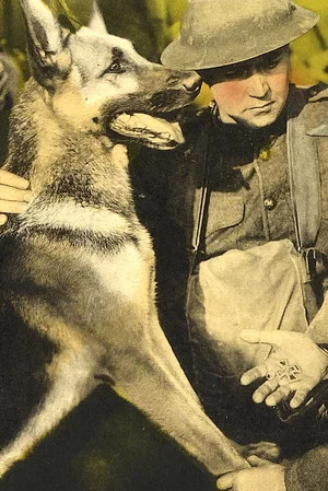 Постер: His Master's Voice
