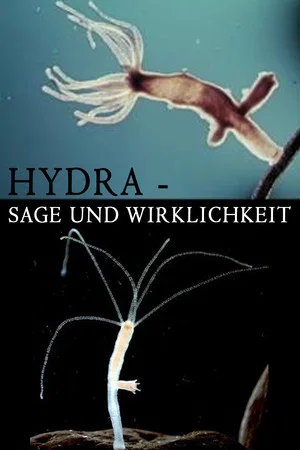 Постер: Hydra - Legend and Reality