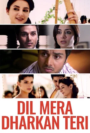 Постер: Dil Mera Dhadkan Teri