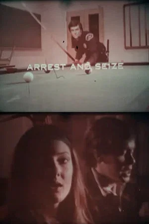 Постер: Under the Law: Arrest and Seize