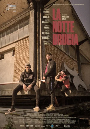 Постер: The Night Burns