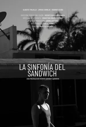 Постер: The Sandwich Symphony
