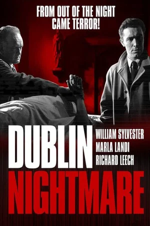Постер: Dublin Nightmare
