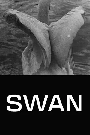 Постер: Swan