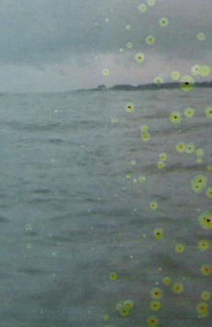 Постер: Film for Invisible Ink case no. 71: BASE-PLUS-FOG