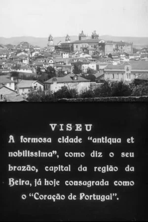 Постер: Viseu