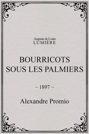 Постер: Bourricots sous les palmiers