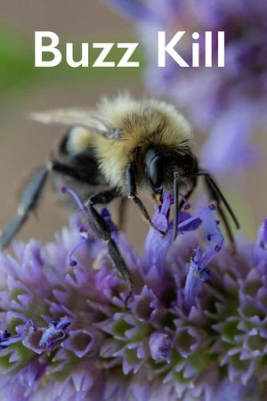 Постер: Buzz Kill